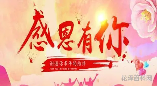 关于感恩的简短美句 最打动人心的感恩短句