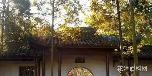 题破山寺后禅院