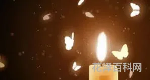 飞蛾扑火歇后语下一句