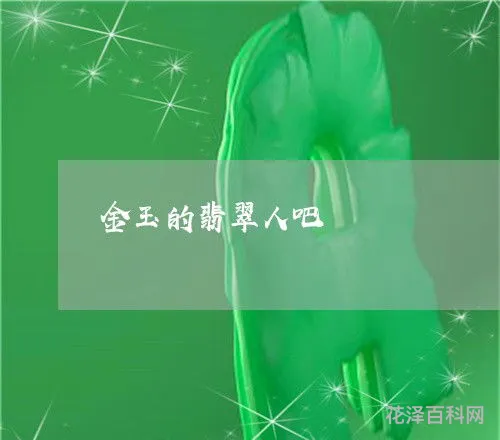 金玉的翡翠人生，重生之翡翠人生全文免费阅读