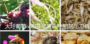 合肥有什么特产