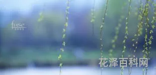 惊蛰怎么读音 惊蛰读音zhi还是zhe