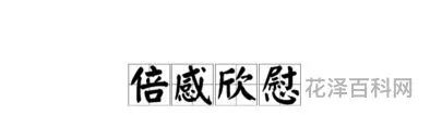 欣慰什么意思，我感到很欣慰的意思