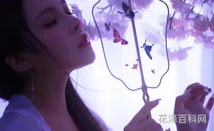 白月光与朱砂痣什么意思 白月光朱砂痣哪个更遗憾