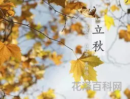 立秋是秋天吗 二十四节气表
