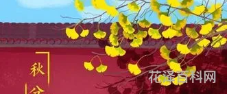 秋分的古诗四句 古诗《秋分》