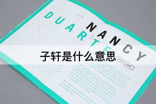 子轩是什么意思