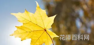 今年立秋几点