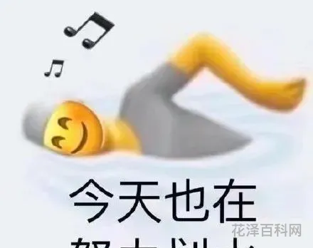 禁止摸鱼什么意思