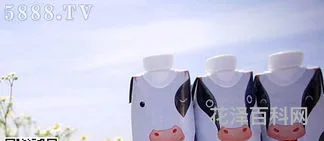 特仑苏多少钱一箱 特仑苏价格表大全