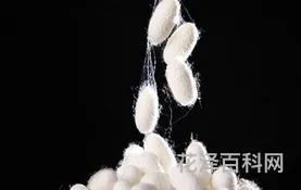 蚕丝被的缺点 蚕丝被好还是棉被好