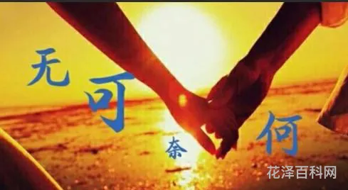 无可奈何的反义词