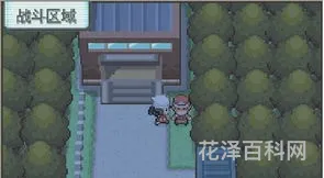 口袋怪兽金刚石