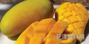 火龙果的产地，中国火龙果之乡在哪里