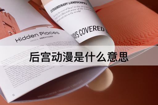后宫动漫是什么意思