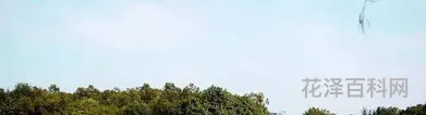 广州花果山公园 广州旅游必去十大景点排名