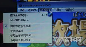 gba牧场物语金手指