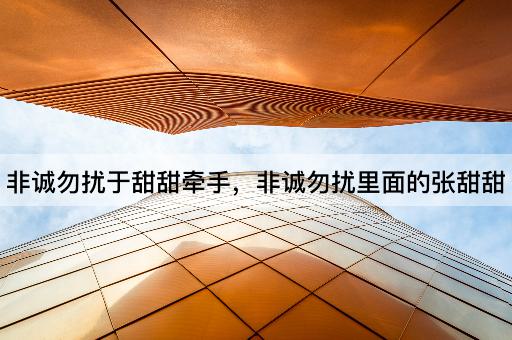 非诚勿扰于甜甜牵手，非诚勿扰里面的张甜甜