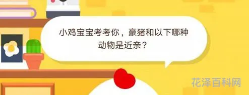 豪猪和什么动物是近亲