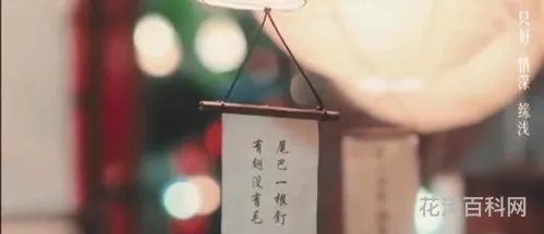一眼之念一念执着，一念执着表达了什么