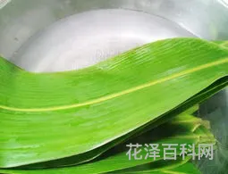 粽叶怎么处理才好用