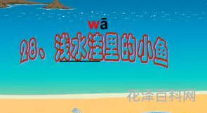 浅水洼里的小鱼 水沟里一厘米左右的小鱼
