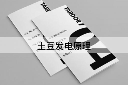 土豆发电原理