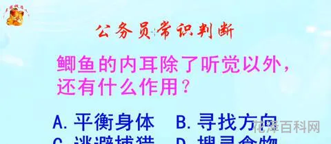 婚礼上放鞭炮最初是为了