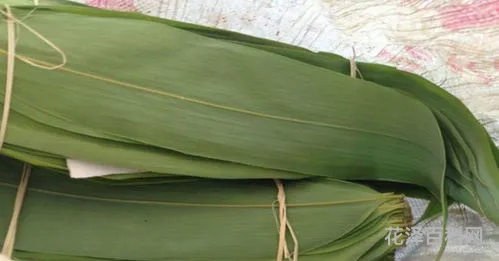 干粽叶怎么处理才能包粽子 煮粽叶最正确的方法视频