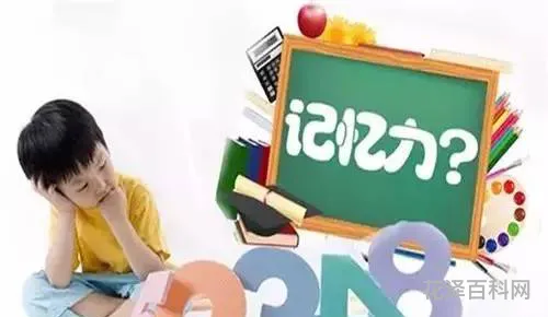 如何能提高记忆力 吃什么增强记忆力提高注意力学生