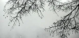 莫愁前路无知己出自 天下谁人不识君全诗解释