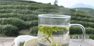 白茶适合啥季节喝 请问白茶什么季节喝最好
