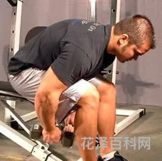 哑铃健身图解