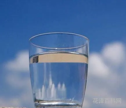 生活就像一杯白开水，一杯白水的人生感悟