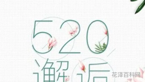 什么是520，五二零的另一个含义是什么