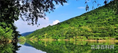 湖南湖北的湖是指 洞庭湖和鄱阳湖哪个大
