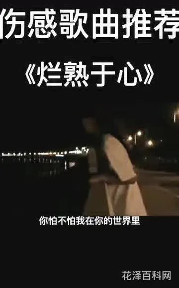 好听的伤感歌曲 2023最火伤感歌曲