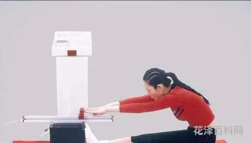 坐位体前屈姿势