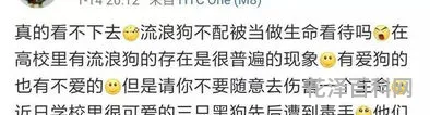 热文关门打狗是什么生肖 关门打狗12生肖中指什么动物