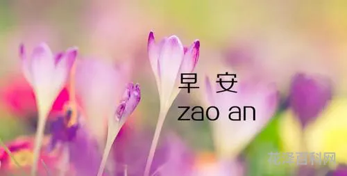 阳光心态正能量的句子