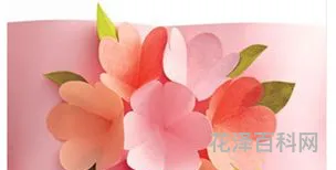漂亮的母亲节贺卡手工