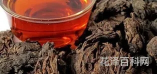 普洱茶的泡法