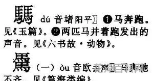 三个马念什么 犇骉羴鱻垚淼焱猋孨叒怎么读