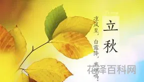 立秋的唯美语句，立秋文案短句干净治愈