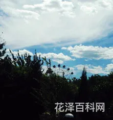 秋色有佳兴下一句