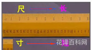 尺有所短寸有所长的意思，四年级上册日积月累尺有所短