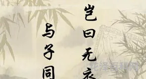 岂无白衣与子同袍寓意