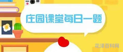 运动过后拉伸蚂蚁庄园