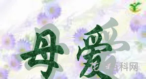 关于母爱的散文，老舍的《我的母亲》原文