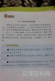 一件有关规则的事